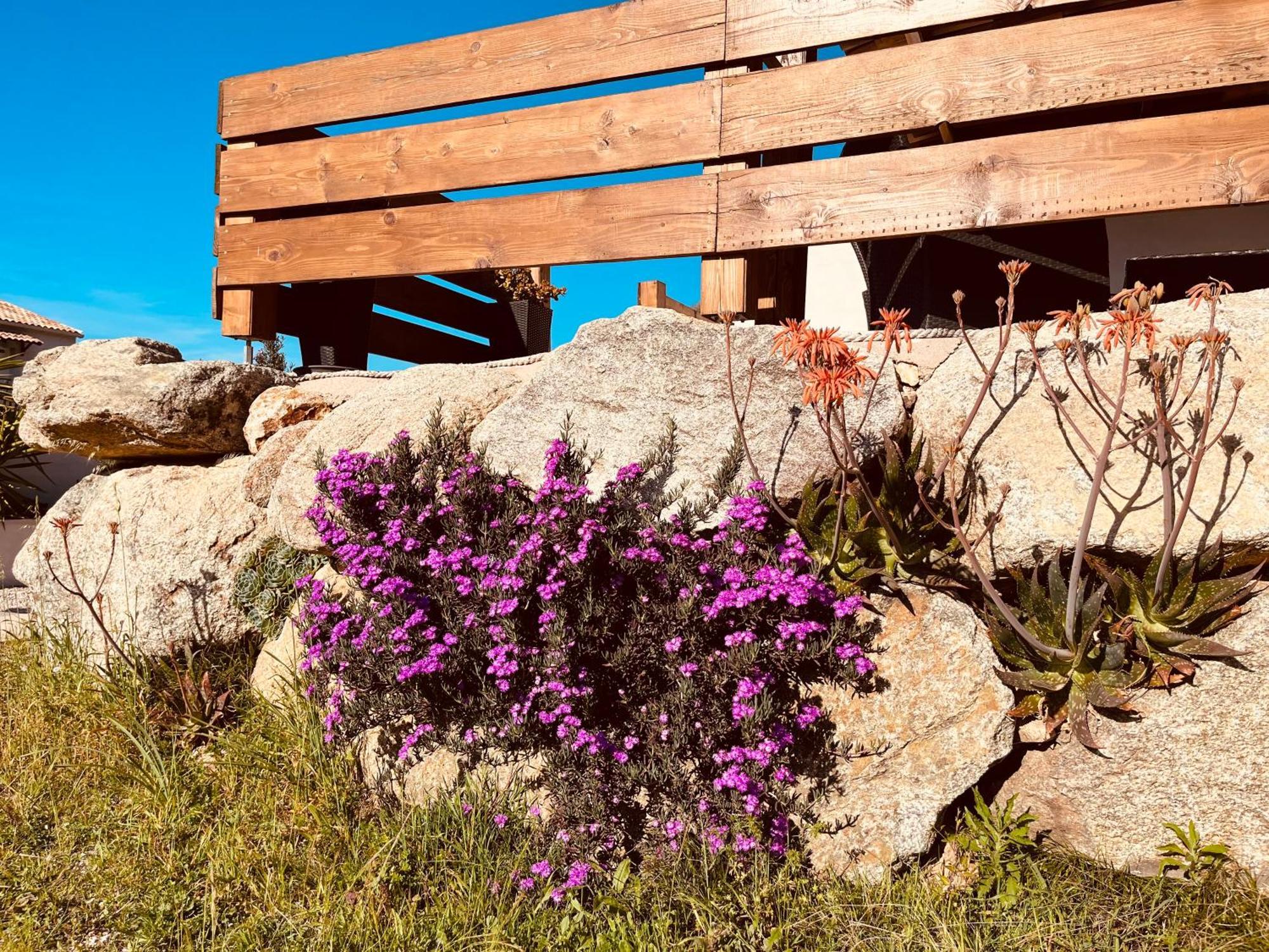 Residence Casa Toga Galeria  Εξωτερικό φωτογραφία