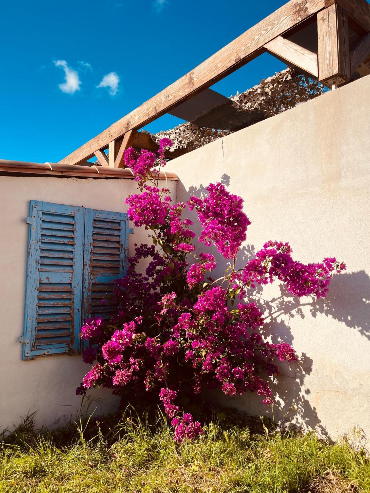 Residence Casa Toga Galeria  Εξωτερικό φωτογραφία